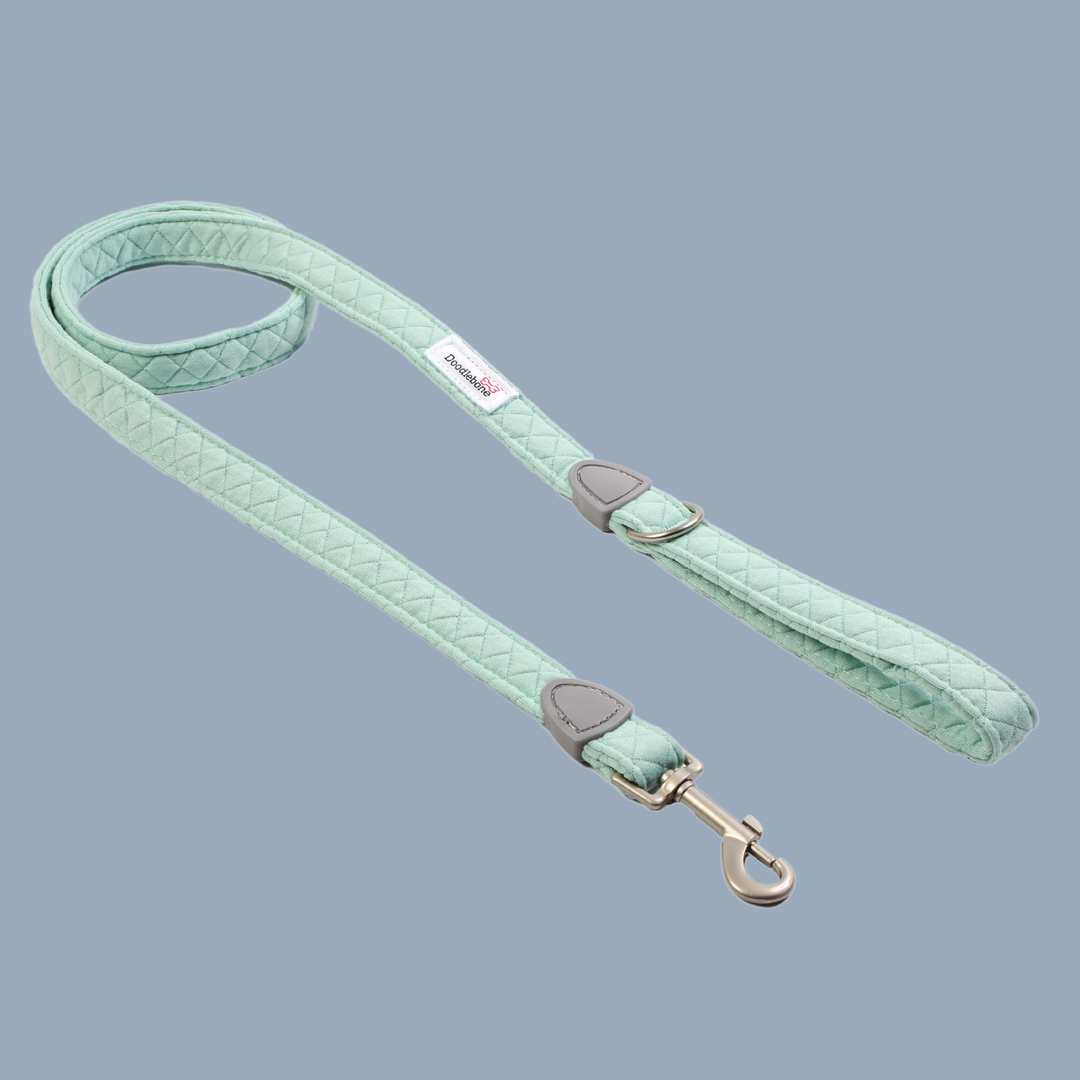Mint Quilt Dinky Dog Snappy Harness, Collar, Lead & Bow Tie Set