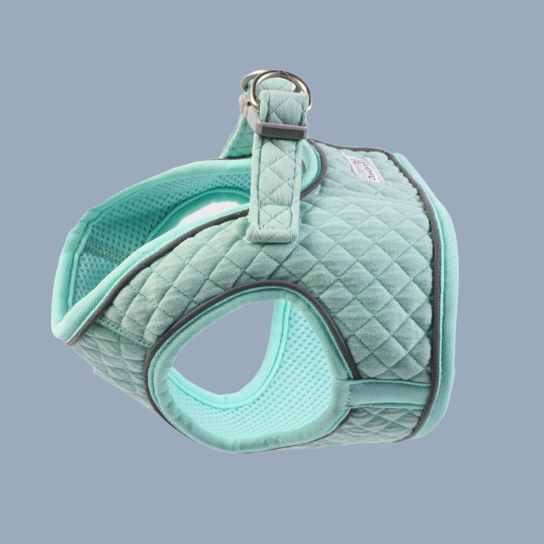 Mint Quilt Dinky Dog Snappy Harness, Collar, Lead & Bow Tie Set