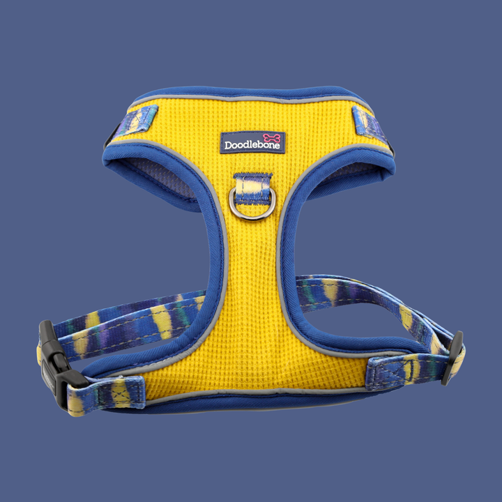 Stomp Harness