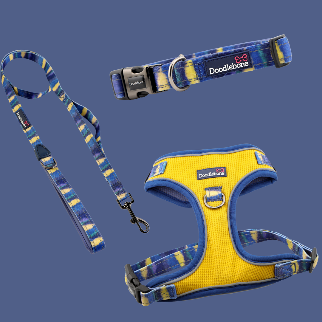 Mustard Terrain Stomp Harness, Padded Collar & With Me Lead Set