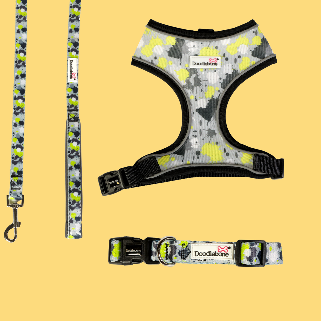 Neon Paint Splat Airmesh Harness, Collar & Lead Set