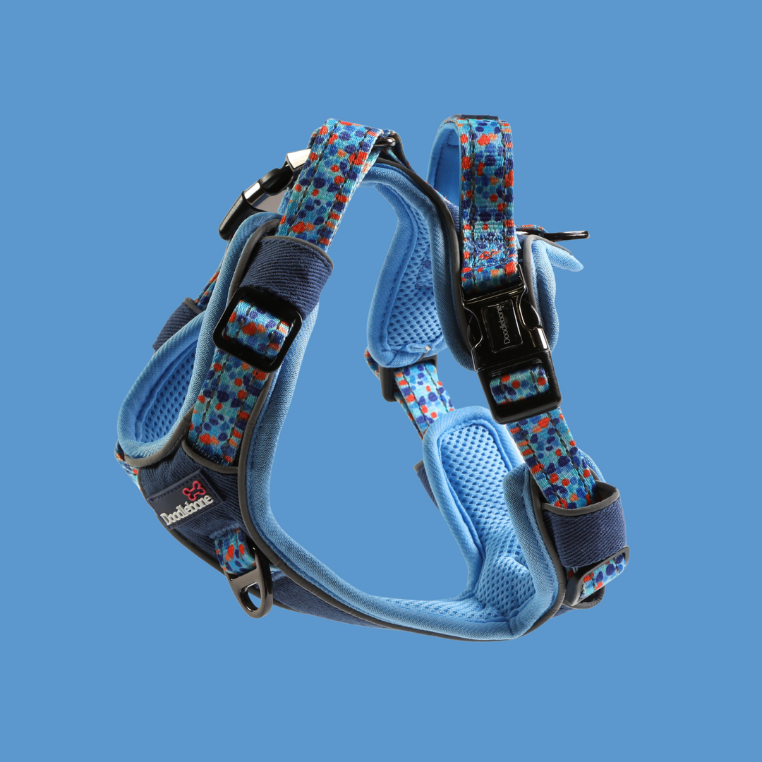 With Me Harness