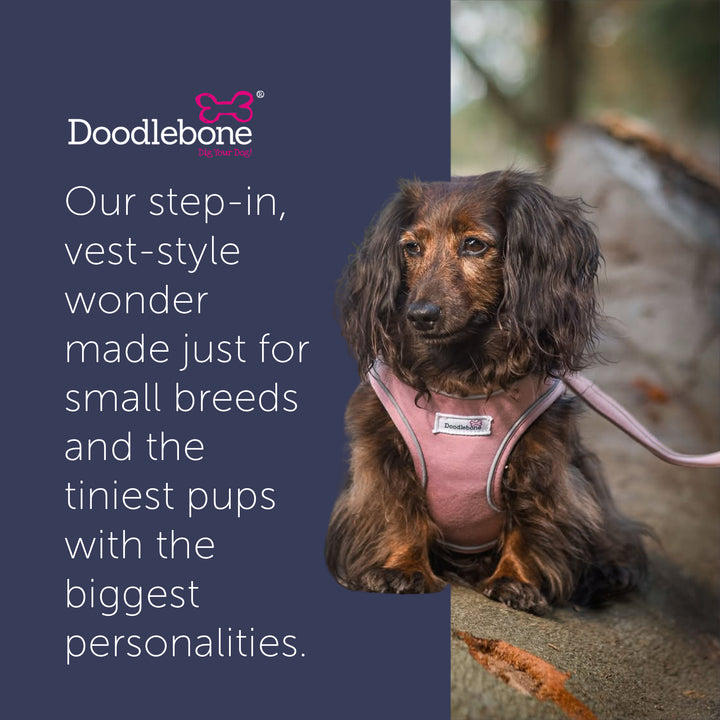 Dinky Dog Snappy Harness