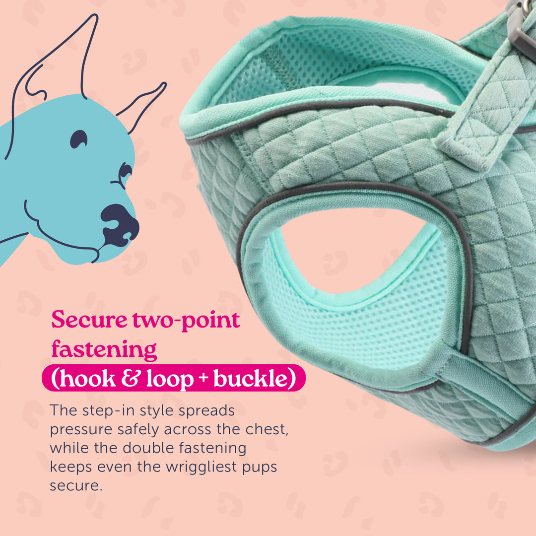 Dinky Dog Snappy Harness