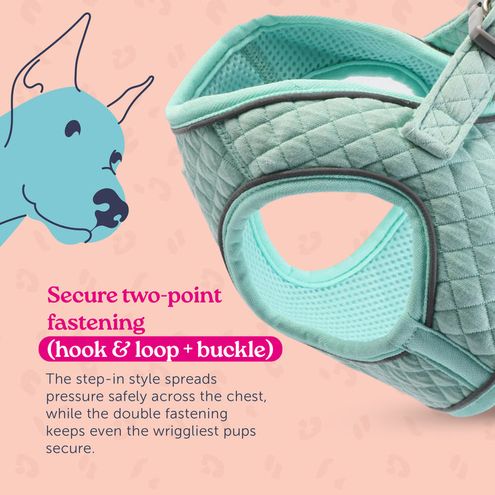 Dinky Dog Snappy Harness
