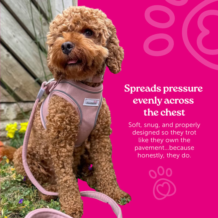 Dinky Dog Snappy Harness
