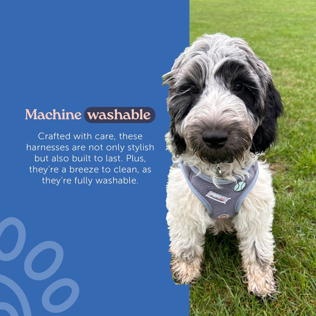 Dinky Dog Snappy Harness