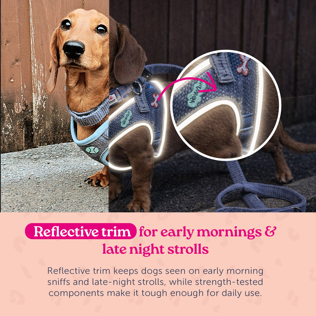 Dinky Dog Snappy Harness