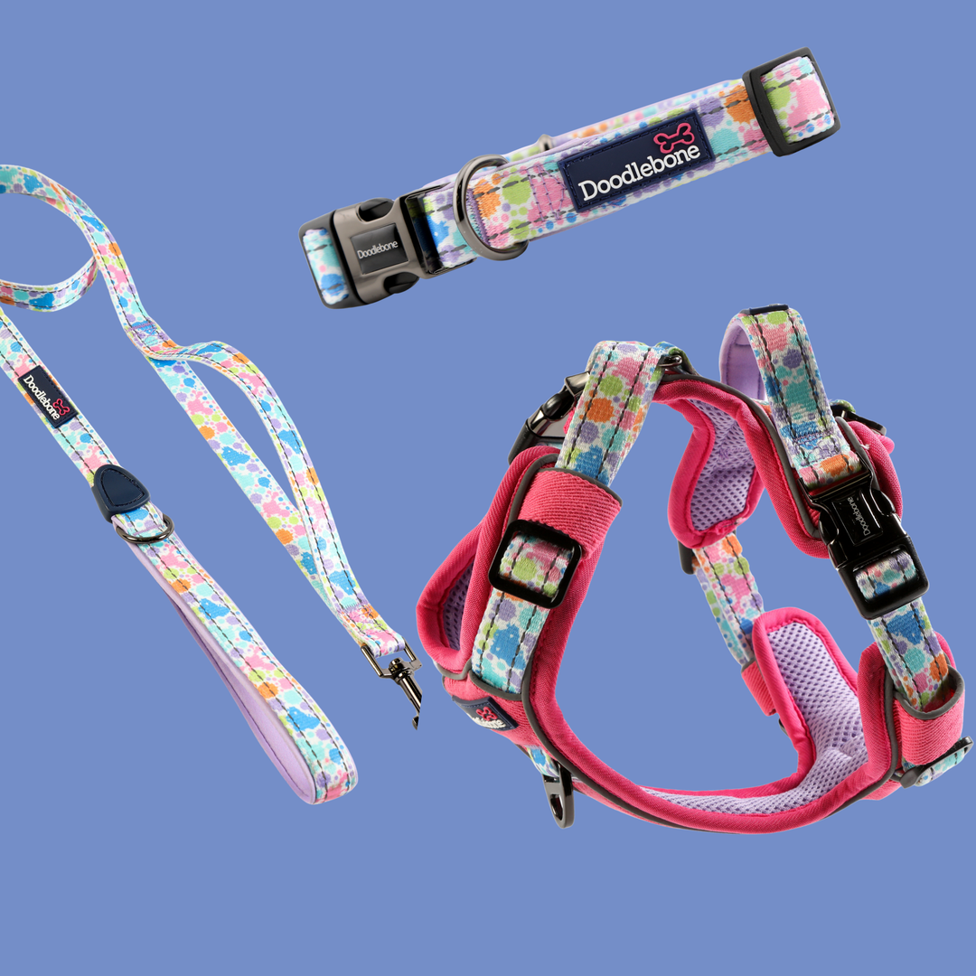 Pink Pastel Paint With Me Harness, Padded Collar & With Me Lead Set