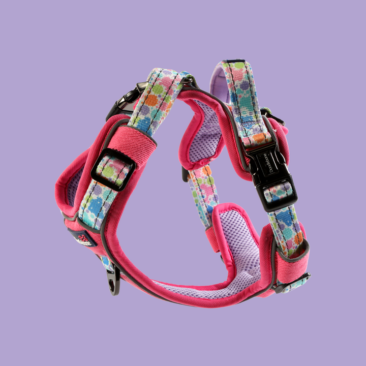 With Me Harness