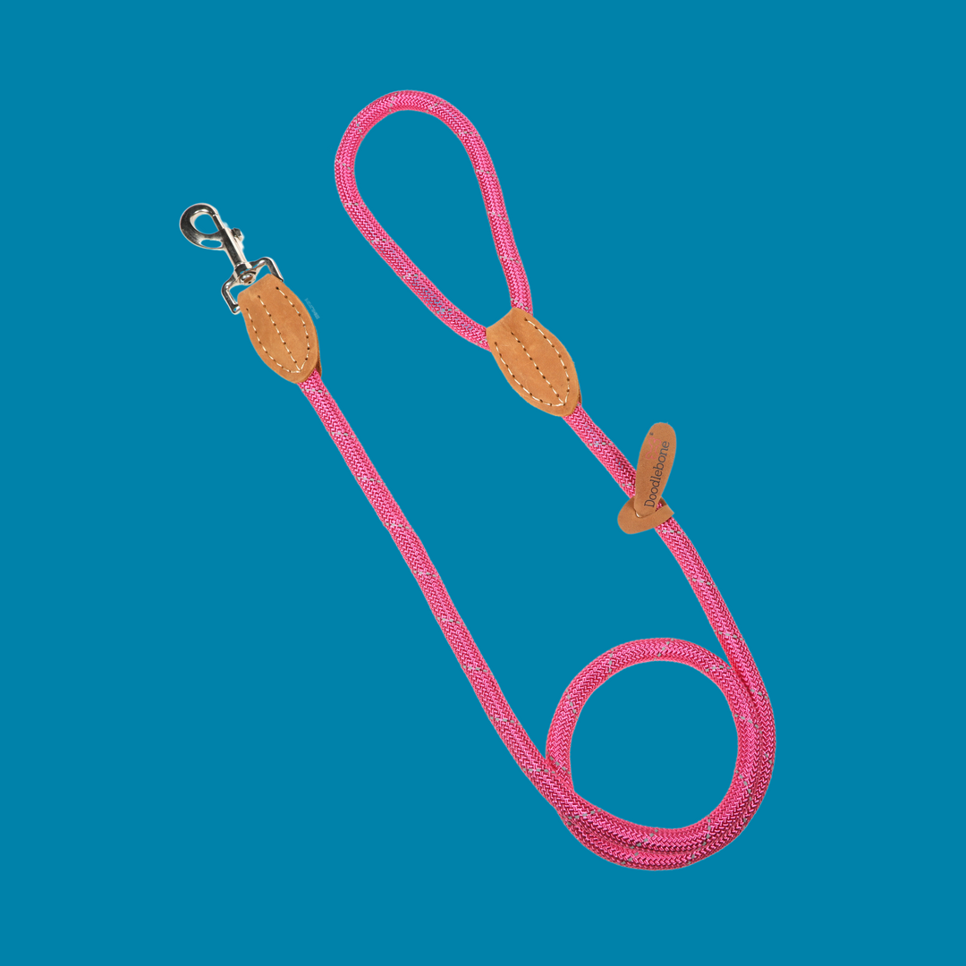 Rope Lead