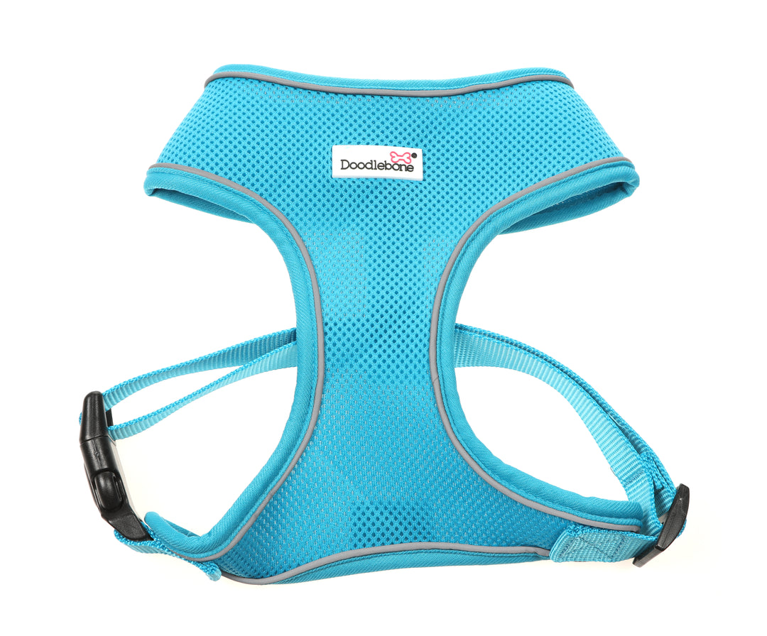 Airmesh Harness