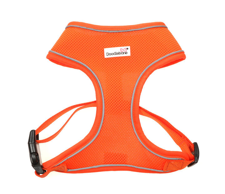 Airmesh Harness