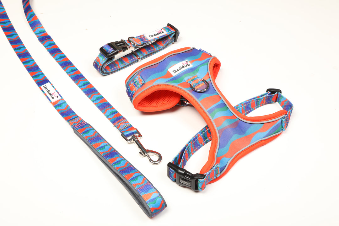 Waves Adjustable Airmesh Harness, Padded Collar & Lead Bundle