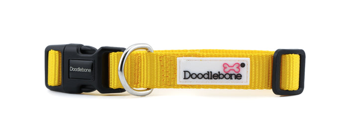 Sunshine Snappy Harness, Collar & Lead Set