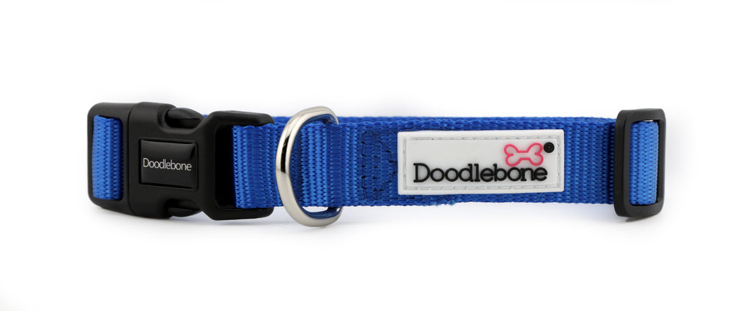 Sapphire Snappy Harness, Collar & Lead Set