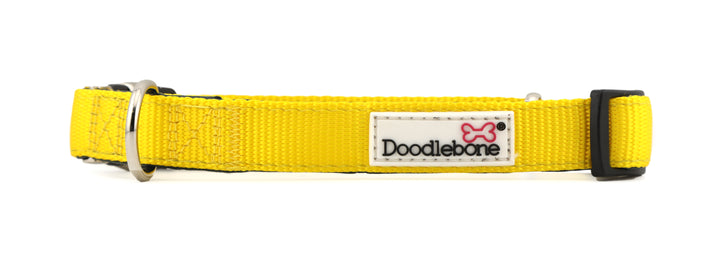 Padded Collars
