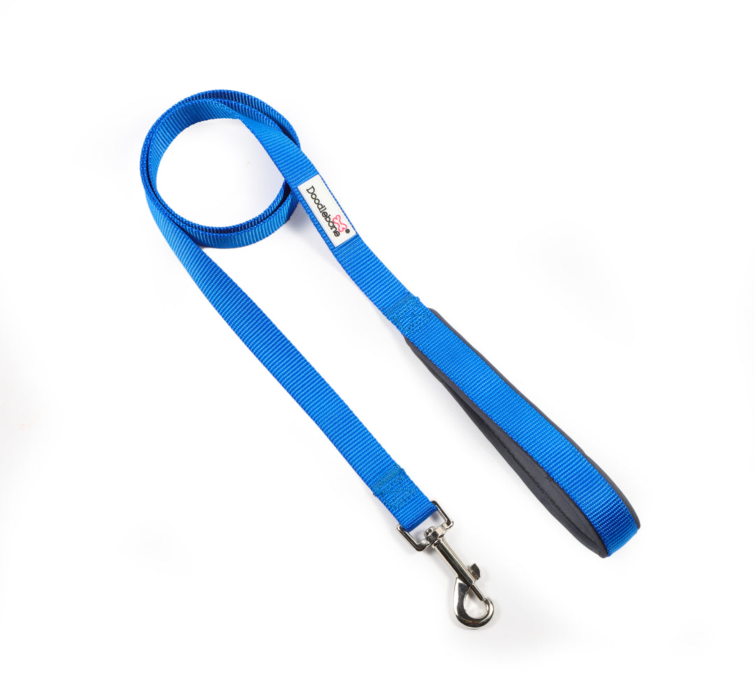 Sapphire Snappy Harness, Collar & Lead Set