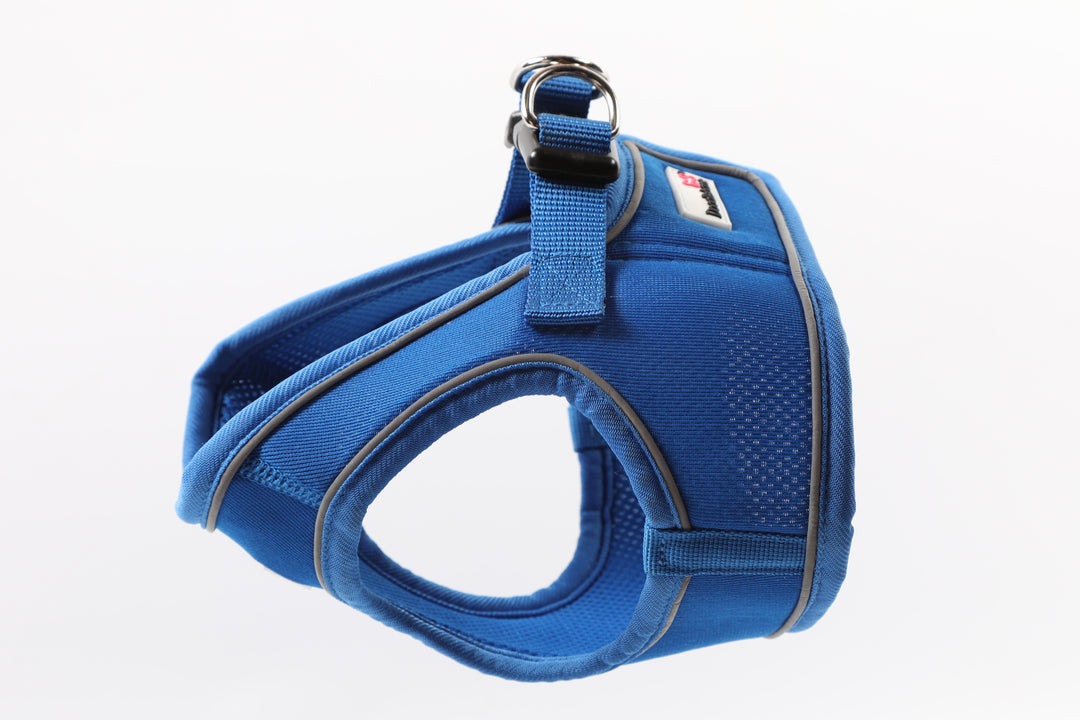 Snappy Harness