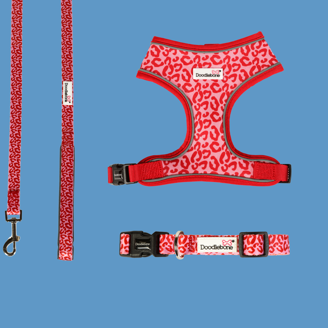 Ruby Leopard Airmesh Harness, Collar & Lead Set
