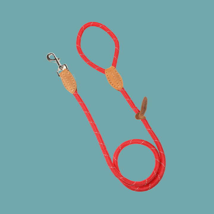 Rope Lead