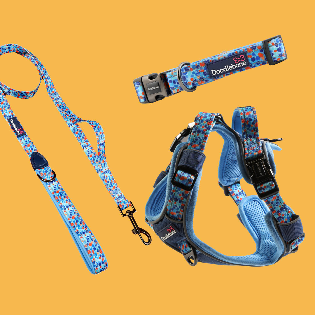 Navy Reef With Me Harness, Padded Collar & With Me Lead Set