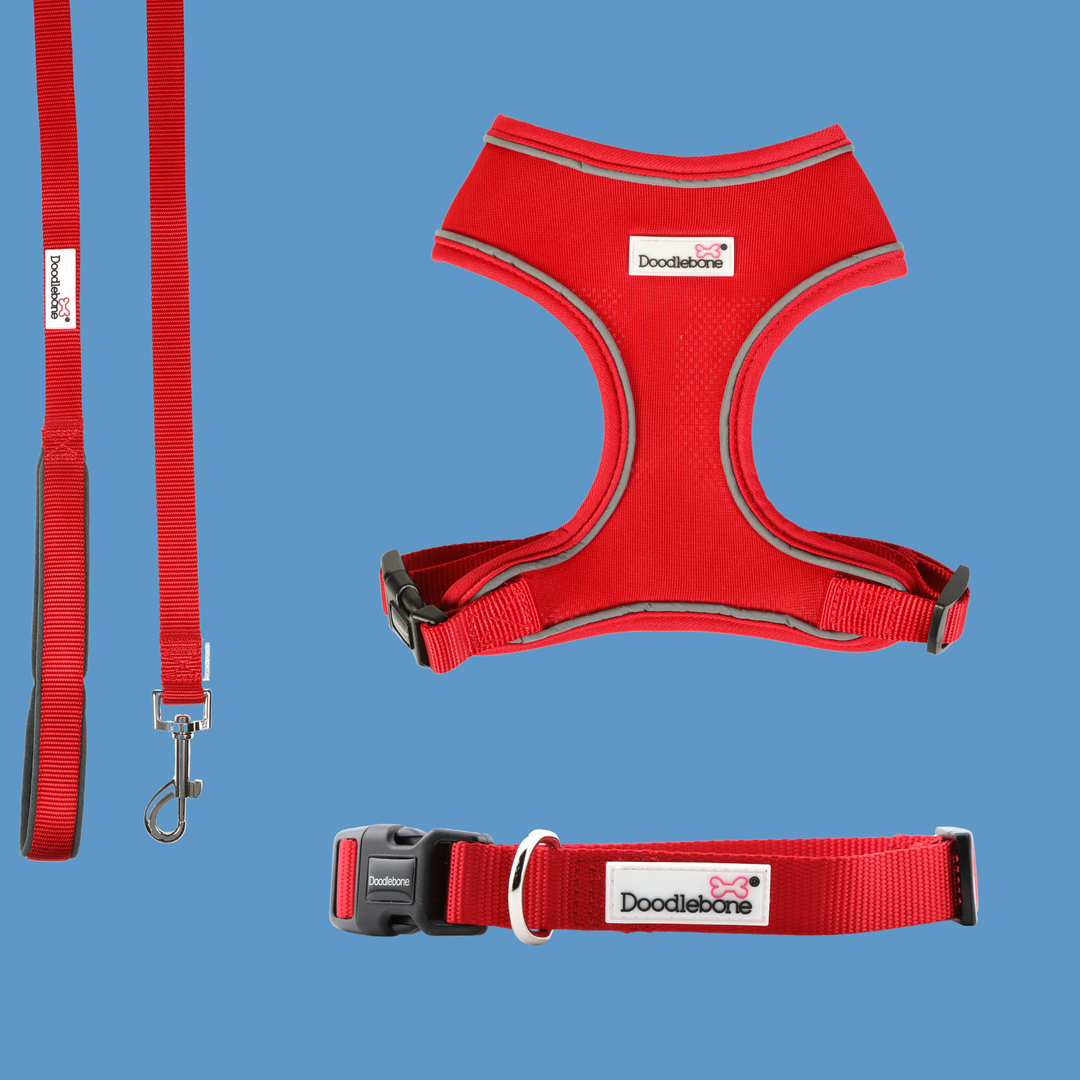 Ruby Airmesh Harness, Collar & Lead Set