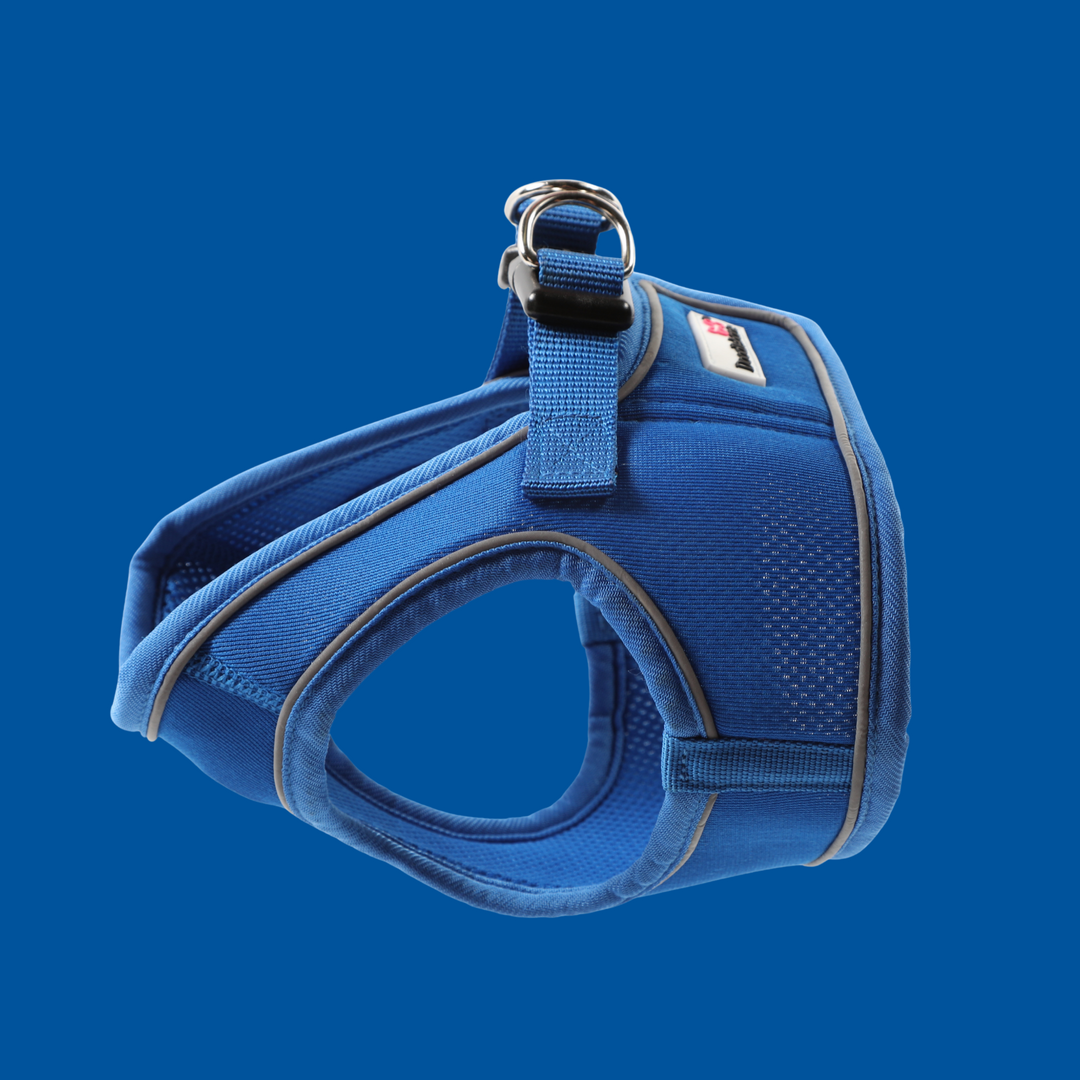 Snappy Harness