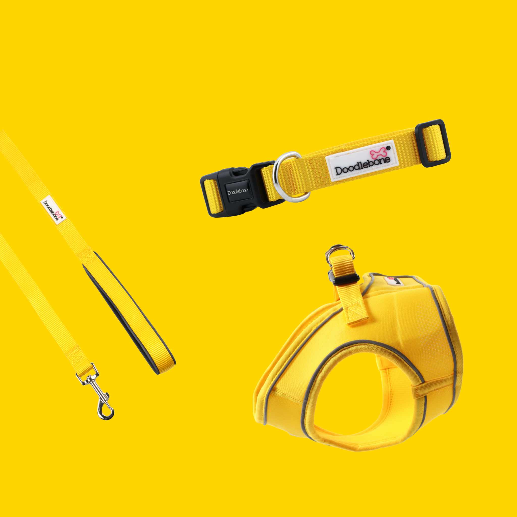 Sunshine Snappy Harness, Collar & Lead Set – Doodlebone