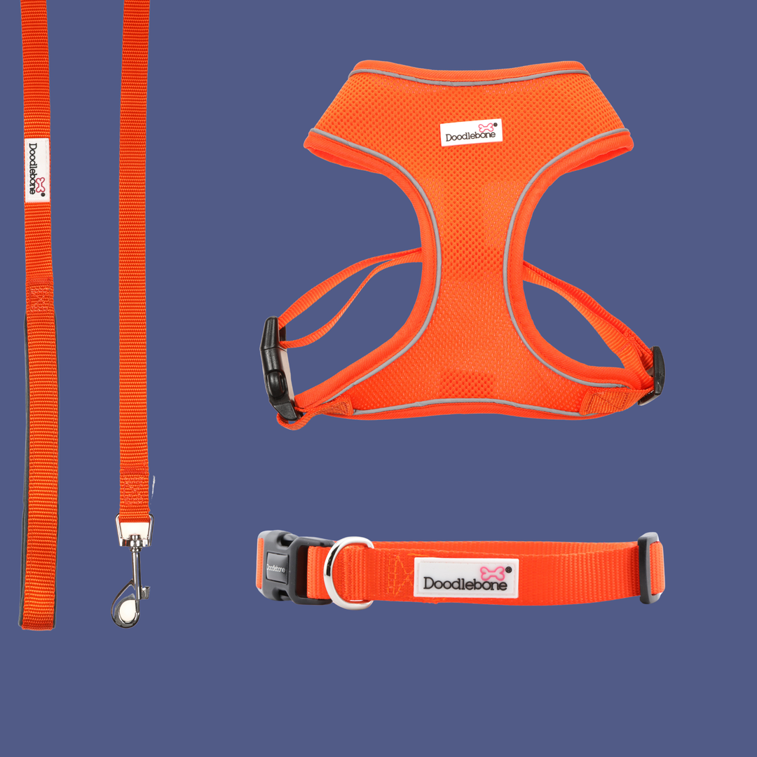 Tangerine Airmesh Harness, Collar & Lead Set