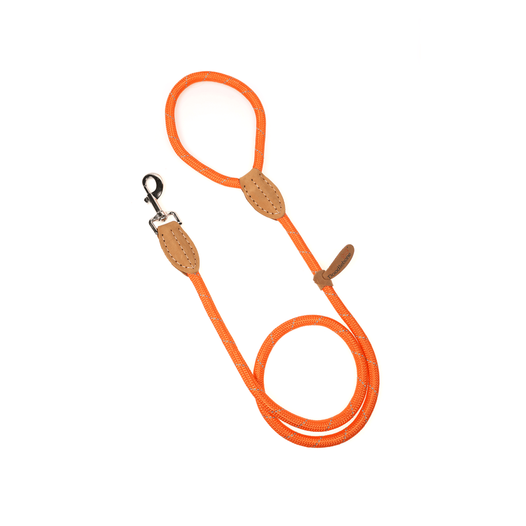 Rope Lead