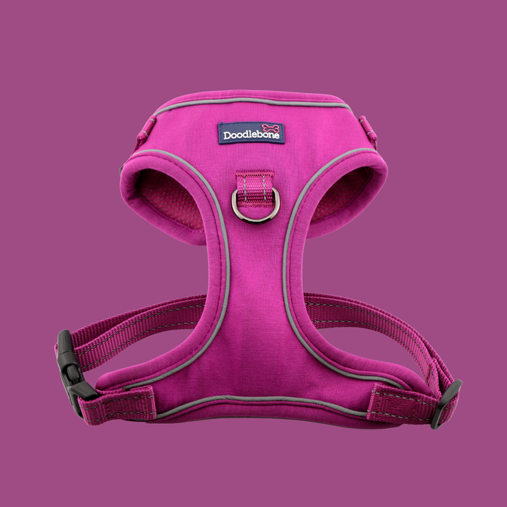 Stomp Harness