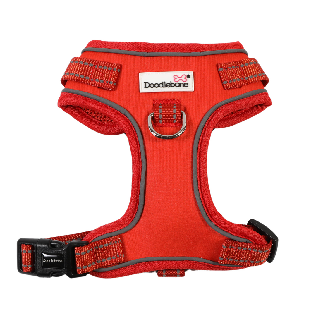 Adjustable Airmesh Harness