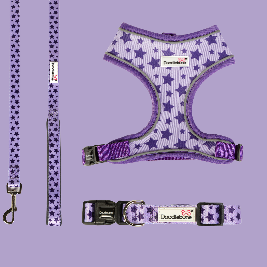 Violet Stars Airmesh Harness, Collar & Lead Set