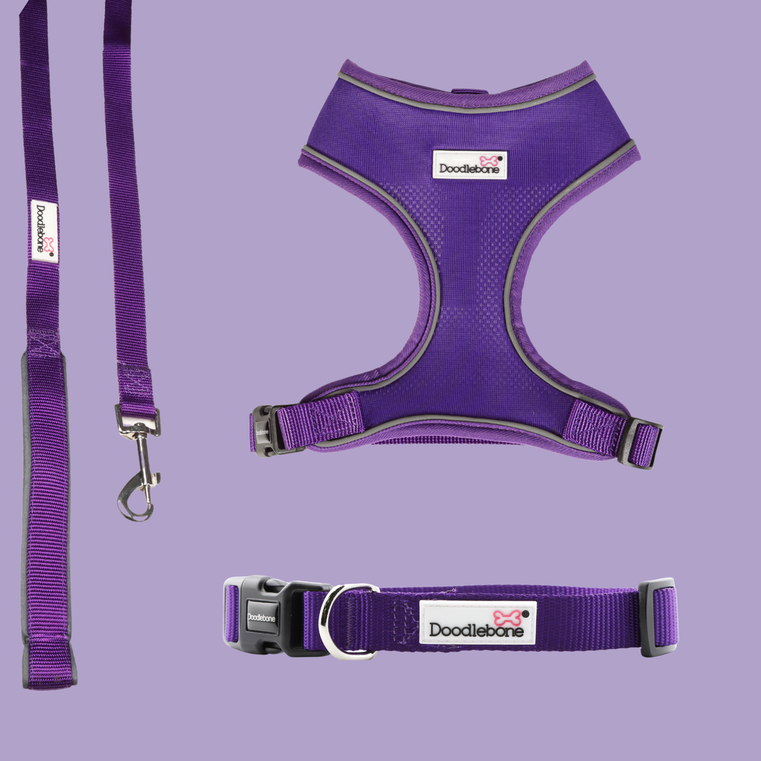 Violet Airmesh Harness, Collar & Lead Set