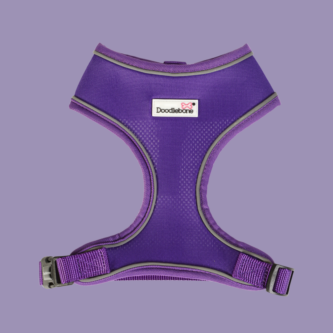 Airmesh Harness