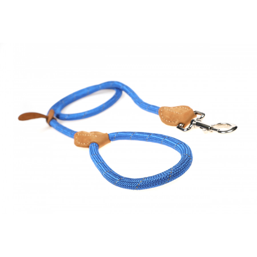 TANOOS Traction Rope A Traction Rope Suitable for Pets, Adjustable, Simple,  with a Metal Lock : : Pet Supplies
